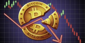 Nên đầu tư vào đâu khi Bitcoin giảm? Giám đốc đầu tư của Arca tiết lộ 3 lĩnh vực đáng chú ý trong 2026缩略图