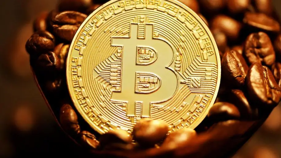 Vì sao một nhà khoa học Harvard tin rằng đợt tăng giá mạnh tiếp theo của Bitcoin sẽ bắt đầu vào năm 2027缩略图