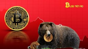 Samson Mow tuyên bố thị trường gấu Bitcoin sắp kết thúc: “Nền tảng chưa hề thay đổi”缩略图