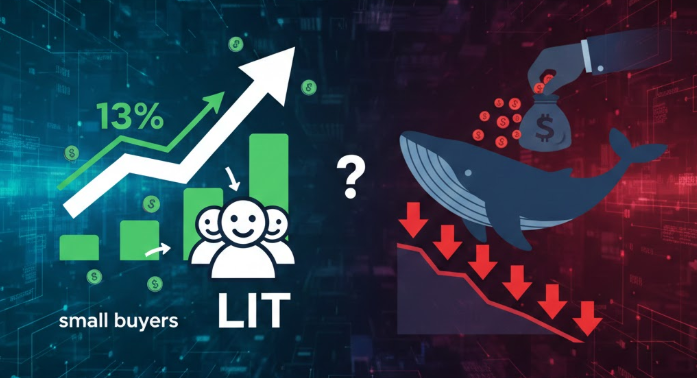 LIT tăng vọt 13% nhờ lực mua nhỏ lẻ, nhưng vì sao cá voi vẫn âm thầm xả hàng?缩略图
