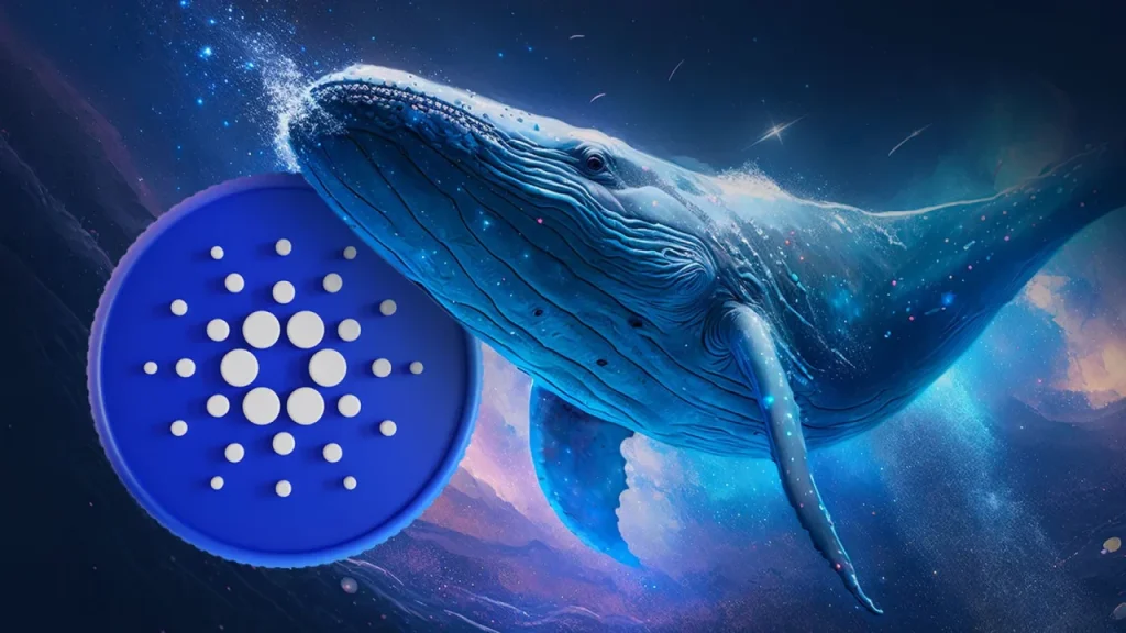 Giá Cardano (ADA) tăng 10% khi các nhà đầu tư lớn tích lũy và hợp đồng tương lai CME sắp ra mắt缩略图