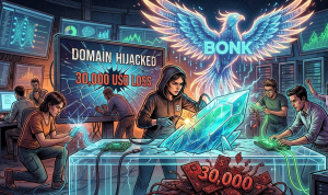 BONK.fun khởi động lại sau khi bị chiếm đoạt tên miền, xác nhận thiệt hại 30.000 đô la缩略图