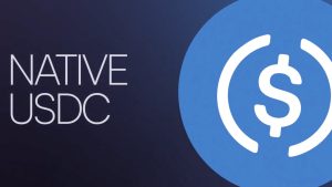 USDC vượt USDT về khối lượng giao dịch thực tế trong năm nay: Mizuho缩略图