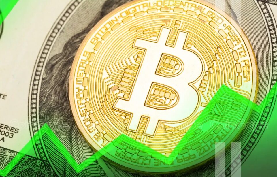 Sau cú bật tăng, CEO VanEck tin rằng Bitcoin đã tạo đáy缩略图