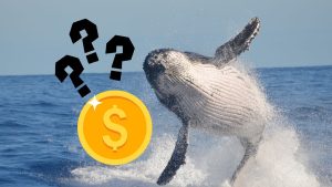 Dữ liệu onchain cho thấy cá voi có thể chuẩn bị bán mạnh altcoin này缩略图