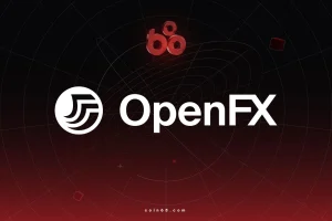 OpenFX là gì? Tìm hiểu về hạ tầng thanh toán xuyên biên giới thời gian thực缩略图