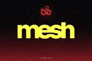 Mesh là gì? Tìm hiểu về hạ tầng thanh toán crypto với định giá tỷ đô缩略图