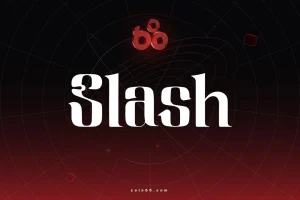 Slash là gì? Tìm hiểu về nền tảng tài chính doanh nghiệp tích hợp stablecoin缩略图