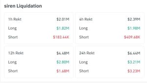 SIREN tăng vọt 102% giữa lúc cá voi chi 64 triệu USD gom hàng: Điều gì tiếp theo?缩略图