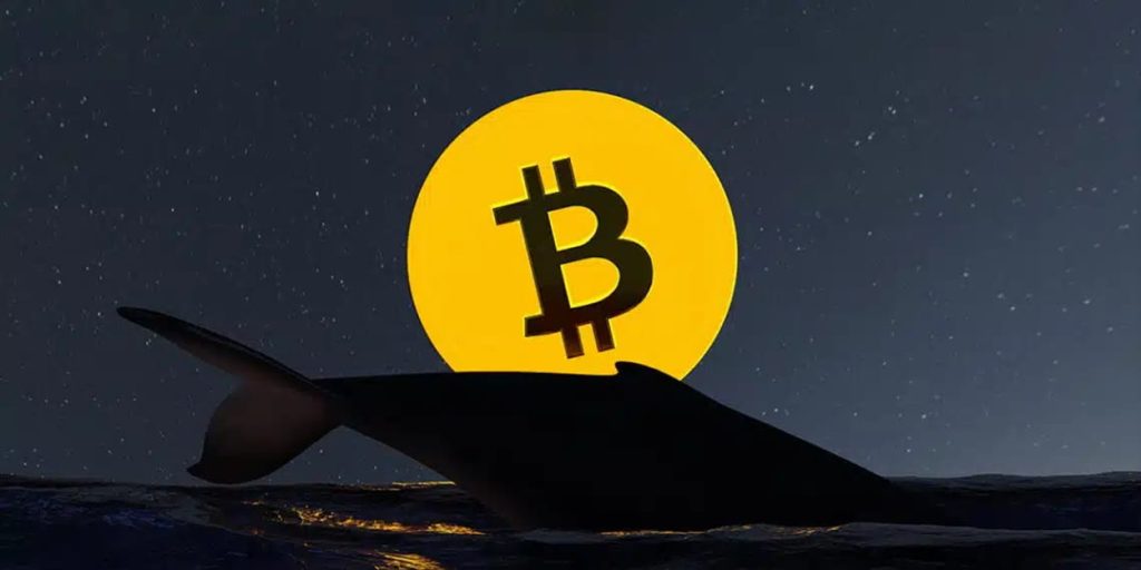 Cá voi lâu năm xả Bitcoin, nhưng Matt Hougan cho rằng đây là tín hiệu tăng giá缩略图 Cá voi lâu năm xả Bitcoin, nhưng Matt Hougan cho rằng đây là tín hiệu tăng giá缩略图