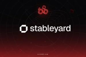 Stableyard là gì? Toàn cảnh hạ tầng thanh toán stablecoin cho doanh nghiệp và developer缩略图