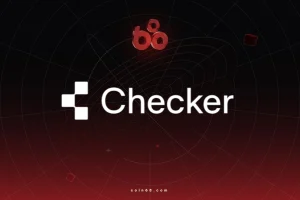 Checker là gì? Hạ tầng stablecoin dành cho tổ chức tài chính缩略图