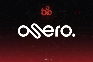 Osero là gì? Tìm hiểu về hạ tầng stablecoin yield cho fintech và neobank缩略图
