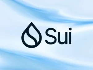 Sui ngừng hoạt động gần 6 giờ vì lỗi nâng cấp mạng lưới缩略图