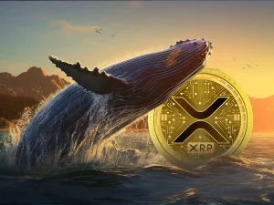 Chênh lệch giữa cá voi và nhà đầu tư nhỏ lẻ XRP chạm đáy 2 năm, tín hiệu gì đang xuất hiện?缩略图