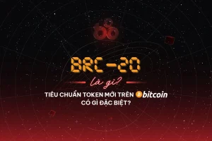 BRC-20 là gì? Tiêu chuẩn token mới trên Bitcoin có gì đặc biệt?缩略图