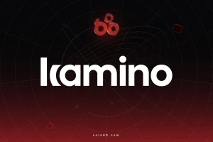 Kamino là gì? Tìm hiểu về giao thức lending hàng đầu trên Solana缩略图
