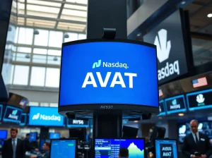 Kho bạc Avalanche lên sàn Nasdaq sau thương vụ 675 triệu USD缩略图