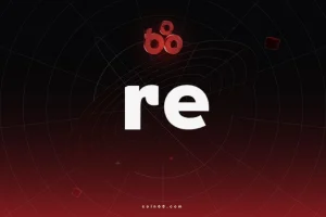 Re là gì? Giao thức đưa thị trường tái bảo hiểm lên blockchain缩略图