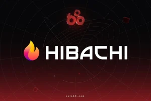Hibachi là gì? Tìm hiểu về Perp DEX dành cho thị trường ngoại hối缩略图
