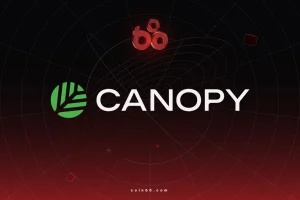 Canopy Network là gì? Tìm hiểu về công cụ giúp xây dựng blockchain nhanh chóng缩略图
