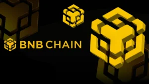 Cựu nhân viên BNB Chain dùng ví nội bộ làm memecoin, thu lợi 600.000 USD缩略图