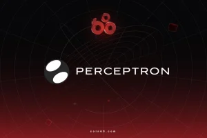 Perceptron Network – Mạng lưới dữ liệu AI phi tập trung và nền kinh tế DePIN缩略图