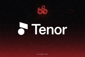 Tenor Finance là gì? Tìm hiểu về giao thức lending dựa trên hạ tầng Morpho缩略图