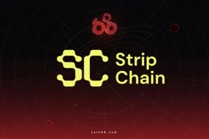 StripChain là gì? Hạ tầng tương tác đa chuỗi dựa trên intent缩略图