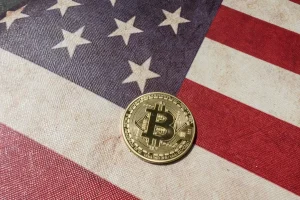 92,7% lượng Bitcoin của các tổ chức đang nằm trong tay doanh nghiệp Mỹ, dữ liệu mới hé lộ缩略图
