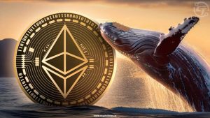 Cá voi Ethereum đầu hàng sau 3 năm, chấp nhận khoản lỗ hơn 19 triệu USD缩略图