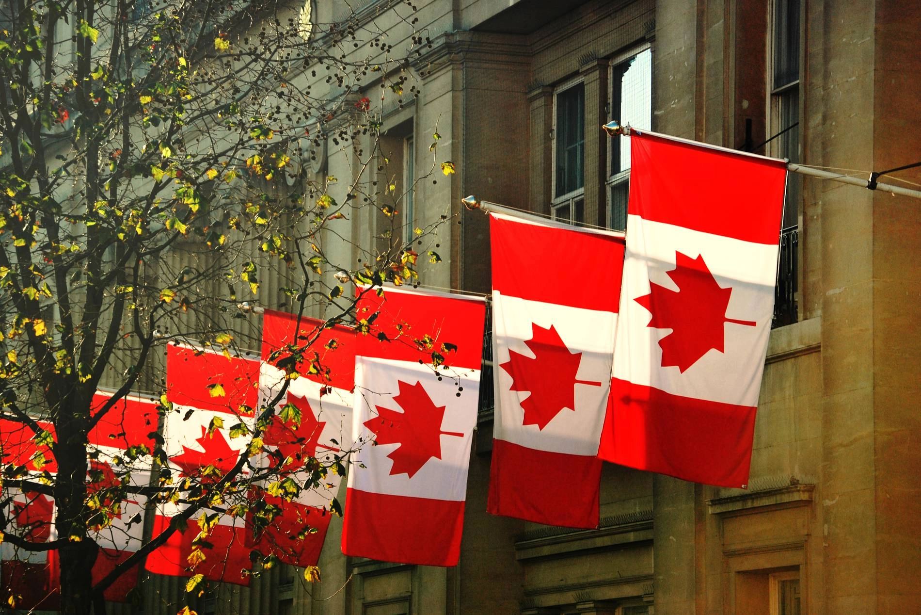 6 ngân hàng lớn nhất Canada bắt tay phát triển tiền gửi token hóa bằng đồng CAD缩略图