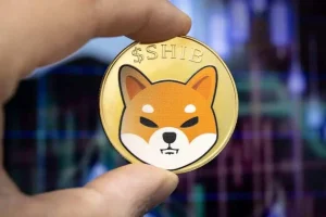 SHIB lao dốc 78% ở chỉ số then chốt, tín hiệu đáng lo nào đang xuất hiện?缩略图