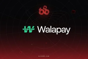 Walapay là gì? Hạ tầng API kết nối tiền pháp định và stablecoin缩略图