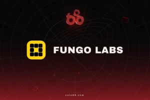 Fungo NFT là gì? Tìm hiểu về bộ sưu tập đầu tiên sử dụng công nghệ FHE của Zama缩略图