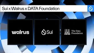 DATA Network bỏ blockchain riêng, gia nhập hệ Sui sau khoản đầu tư 30 triệu USD缩略图