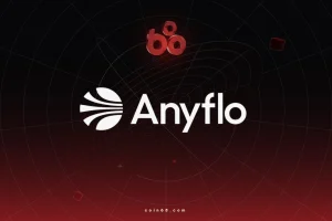 Anyflo là gì? Hạ tầng thanh toán stablecoin đa chuỗi cho doanh nghiệp缩略图