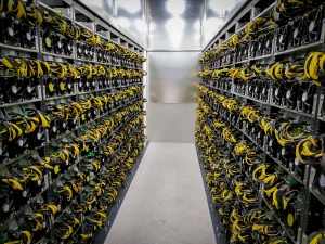 Vì sao ngày càng khó sử dụng chu kỳ halving 4 năm để dự đoán giá Bitcoin?缩略图